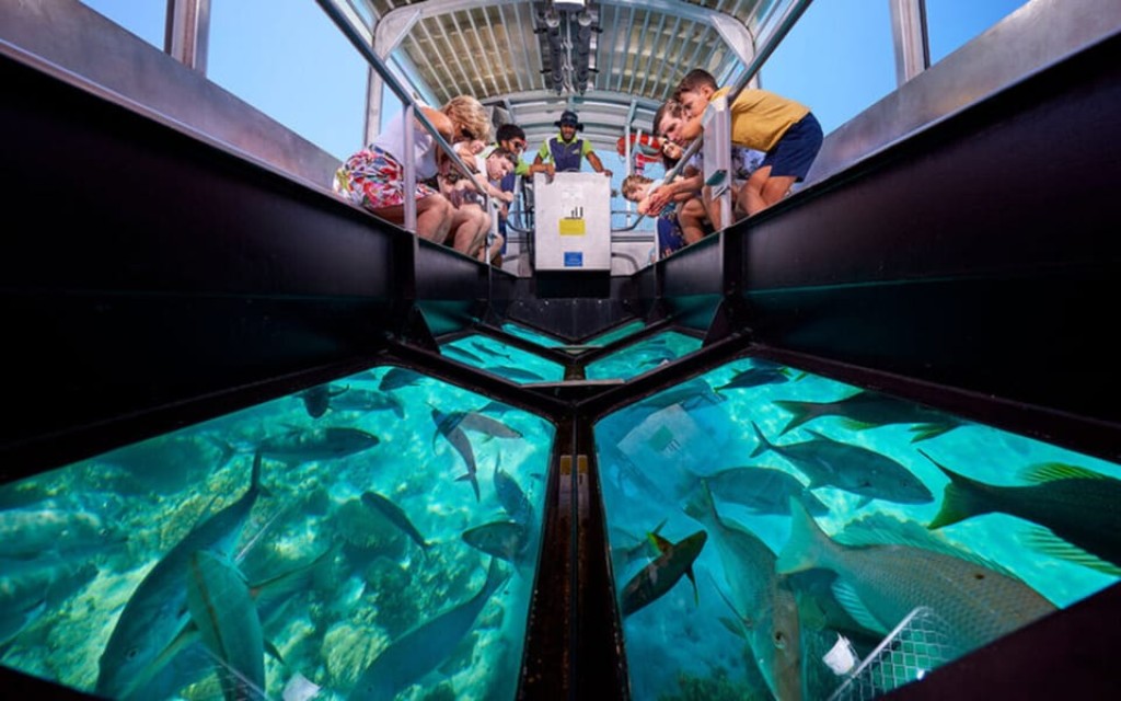 Glass Bottom Boat Ride