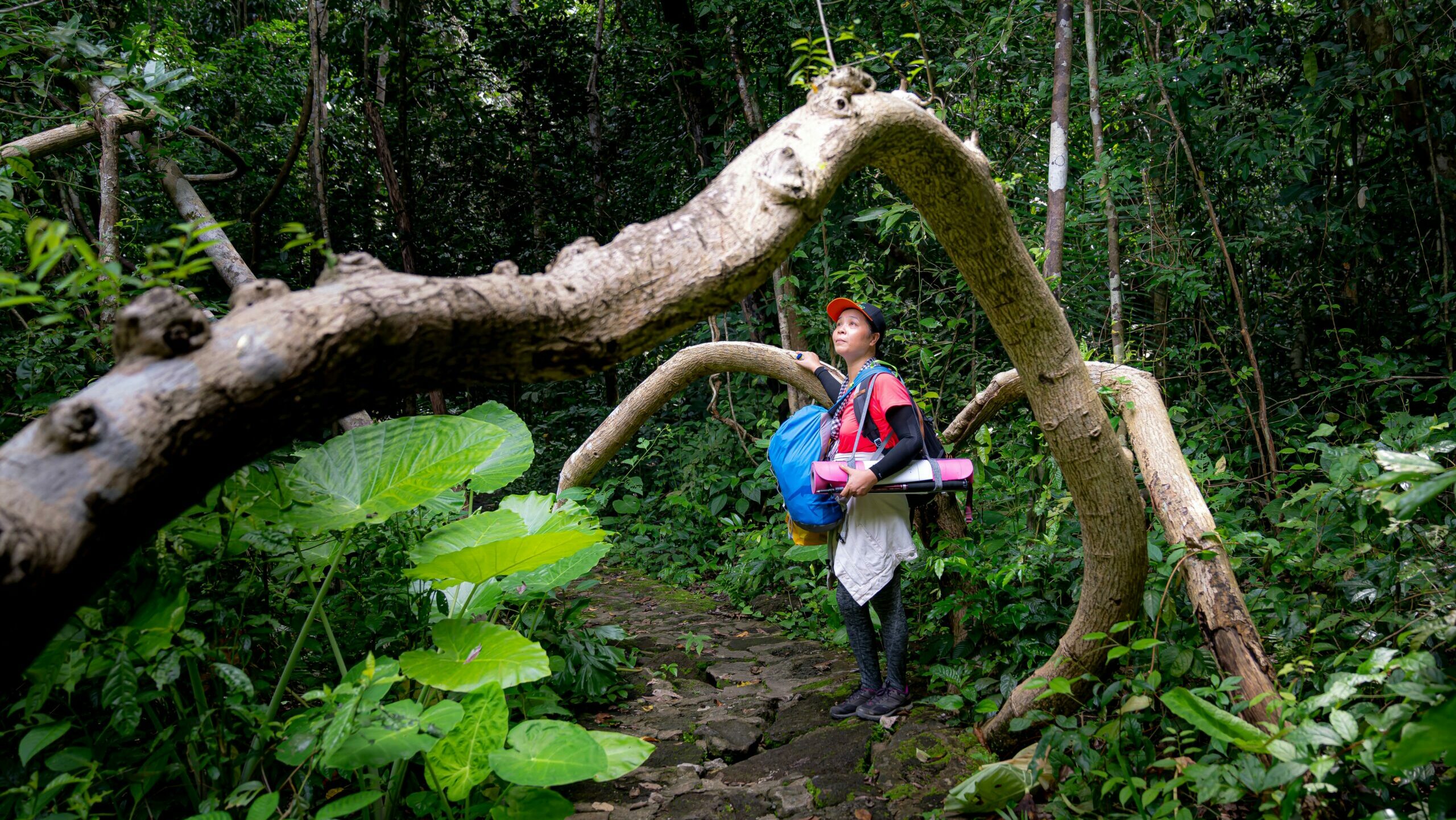 Trekking in Andaman: From Mount Harriet to Madhuban