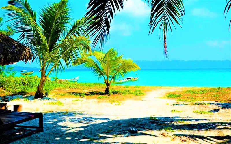 Vijaynagar Beach: The Secluded Paradise of Havelock