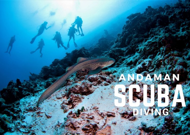 Complete Guide to Scuba Diving in Andaman Islands