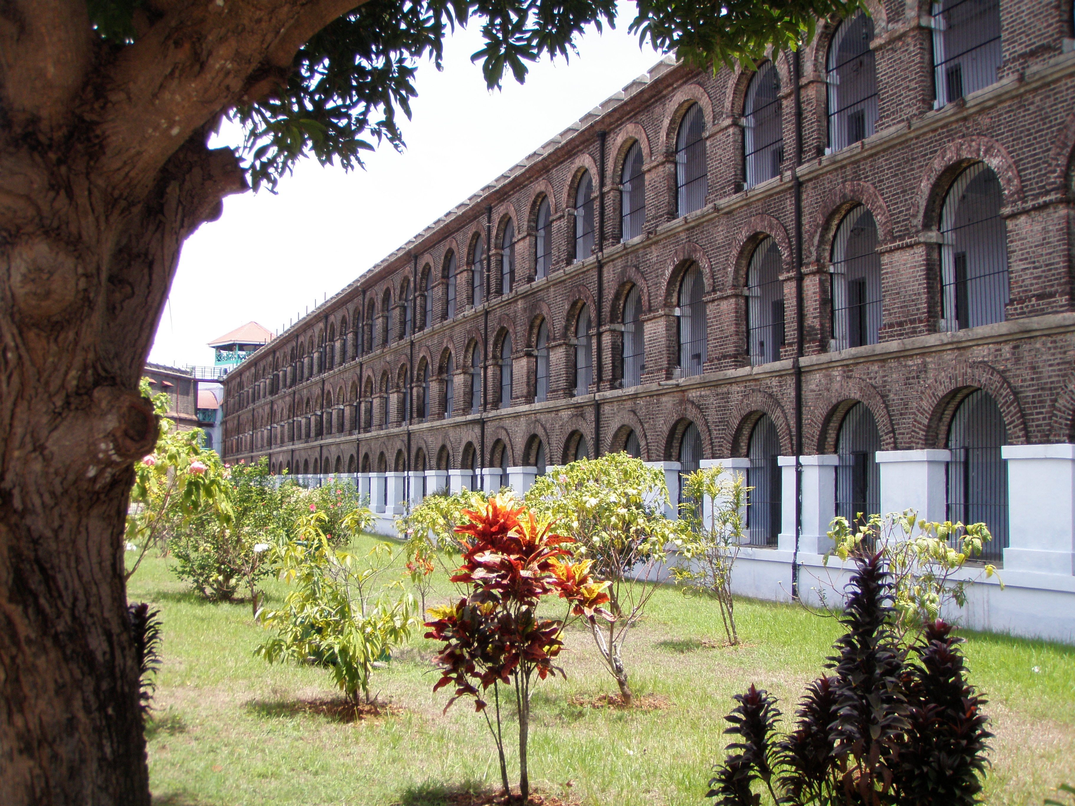 Cellular Jail